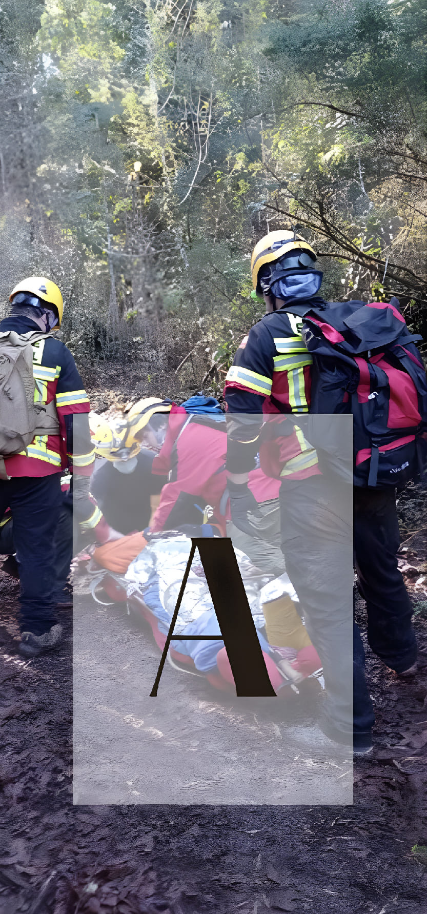 Sar-Araucanía-iniciales_Mesa de trabajo 1 copia 2